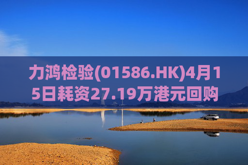 力鸿检验(01586.HK)4月15日耗资27.19万港元回购11.6万股