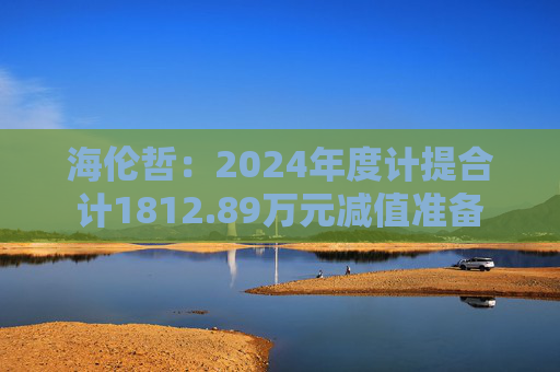 海伦哲：2024年度计提合计1812.89万元减值准备