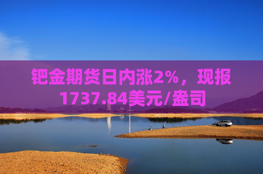 钯金期货日内涨2%，现报1737.84美元/盎司