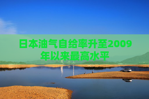 日本油气自给率升至2009年以来最高水平