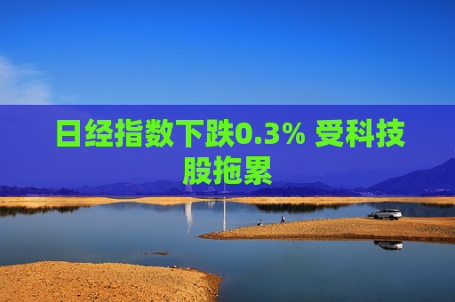日经指数下跌0.3% 受科技股拖累  第1张