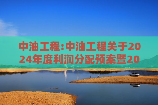 中油工程:中油工程关于2024年度利润分配预案暨2025年中期现金分红有关事项授权的公告