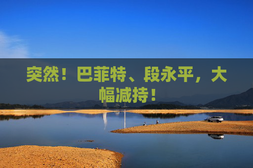 突然！巴菲特、段永平，大幅减持！