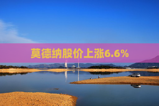 莫德纳股价上涨6.6%