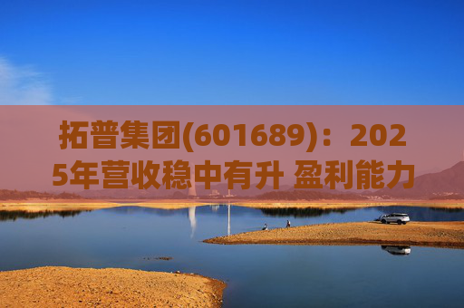 拓普集团(601689)：2025年营收稳中有升 盈利能力短期承压