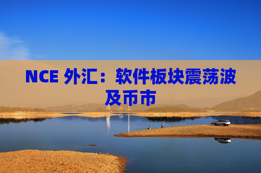 NCE 外汇：软件板块震荡波及币市