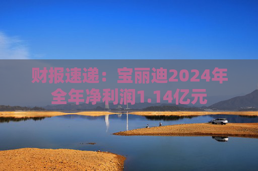 财报速递：宝丽迪2024年全年净利润1.14亿元