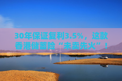 30年保证复利3.5%，这款香港储蓄险“未卖先火”！中资港险瞄准内地客户，产品也要“内地化”？