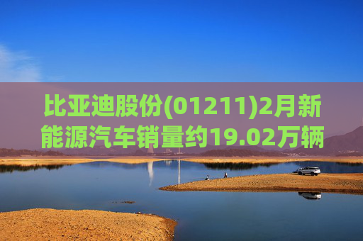 比亚迪股份(01211)2月新能源汽车销量约19.02万辆