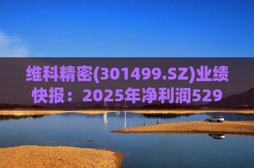 维科精密(301499.SZ)业绩快报：2025年净利润5293.82万元 同比增长16.85%