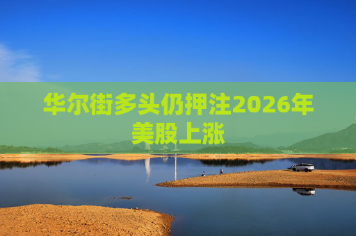 华尔街多头仍押注2026年美股上涨