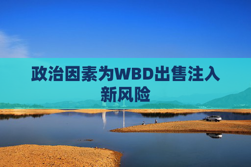 政治因素为WBD出售注入新风险