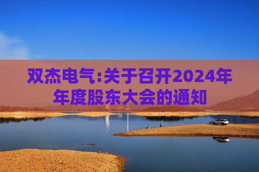双杰电气:关于召开2024年年度股东大会的通知