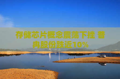 存储芯片概念震荡下挫 普冉股份跌近10%