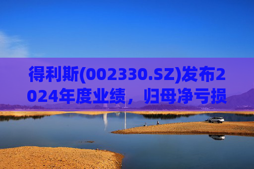 得利斯(002330.SZ)发布2024年度业绩，归母净亏损3367万元