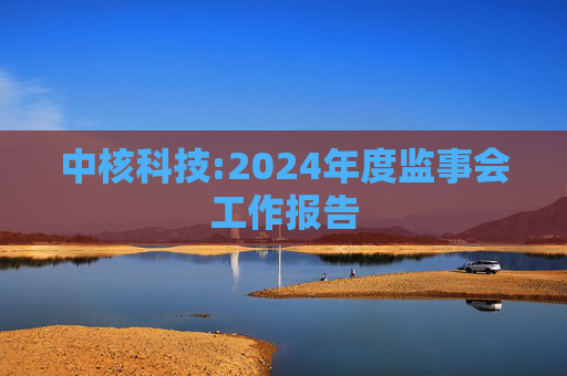 中核科技:2024年度监事会工作报告
