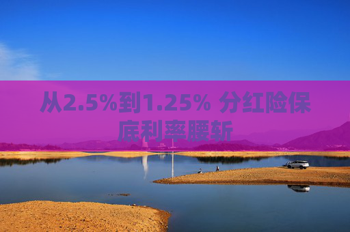 从2.5%到1.25% 分红险保底利率腰斩
