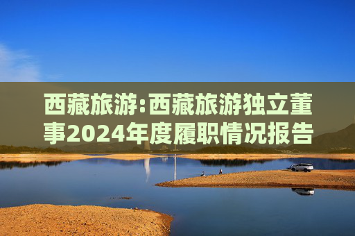 西藏旅游:西藏旅游独立董事2024年度履职情况报告（高金波）