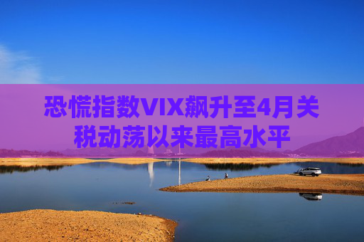 恐慌指数VIX飙升至4月关税动荡以来最高水平
