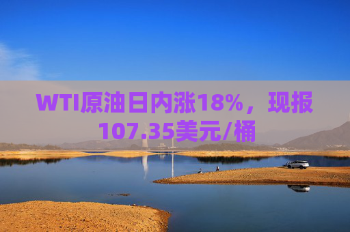 WTI原油日内涨18%，现报107.35美元/桶