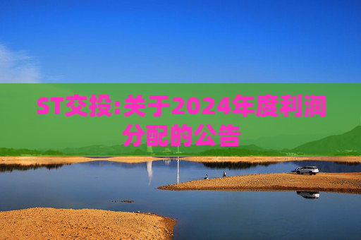 ST交投:关于2024年度利润分配的公告