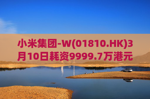 小米集团-W(01810.HK)3月10日耗资9999.7万港元回购297.7万股