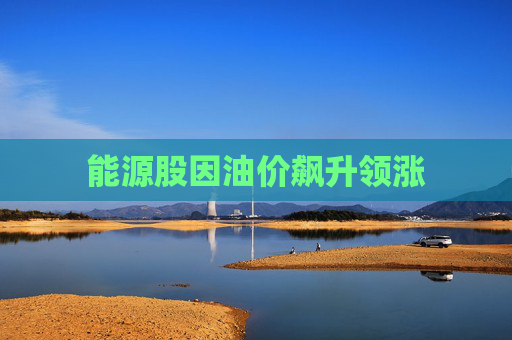 能源股因油价飙升领涨