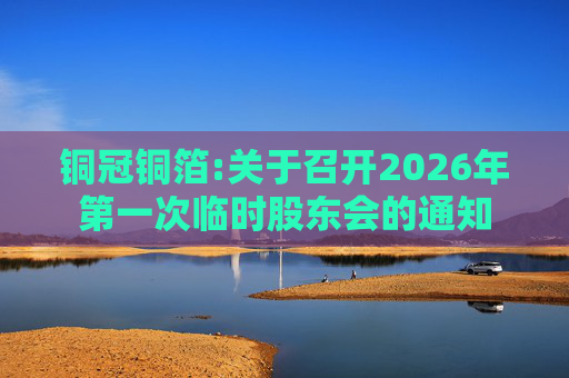 铜冠铜箔:关于召开2026年第一次临时股东会的通知
