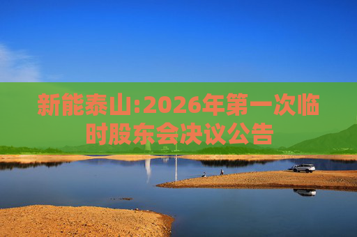 新能泰山:2026年第一次临时股东会决议公告