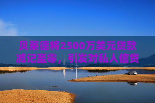 贝莱德将2500万美元贷款减记至零，引发对私人信贷的担忧