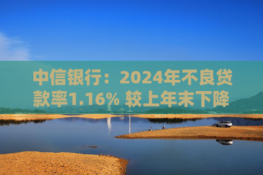 中信银行：2024年不良贷款率1.16% 较上年末下降0.02个百分点  第1张