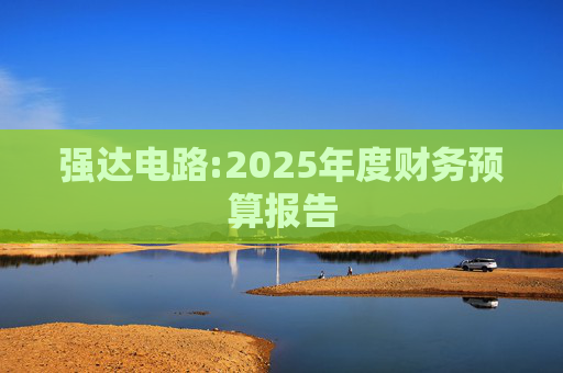 强达电路:2025年度财务预算报告