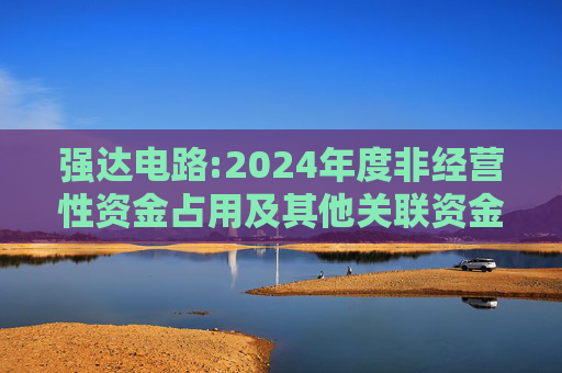 强达电路:2024年度非经营性资金占用及其他关联资金往来情况汇总表