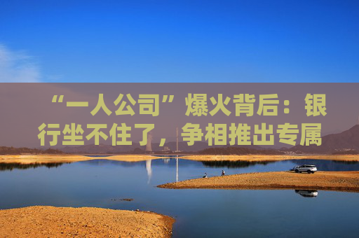 “一人公司”爆火背后：银行坐不住了，争相推出专属金融方案