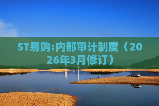 ST易购:内部审计制度（2026年3月修订）