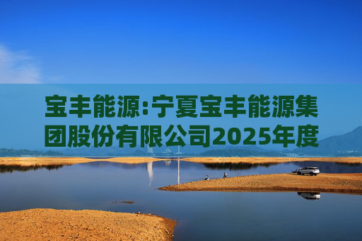 宝丰能源:宁夏宝丰能源集团股份有限公司2025年度独立董事述职报告（孙积禄）