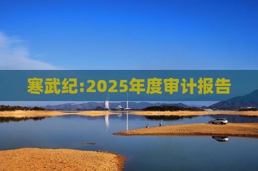 寒武纪:2025年度审计报告
