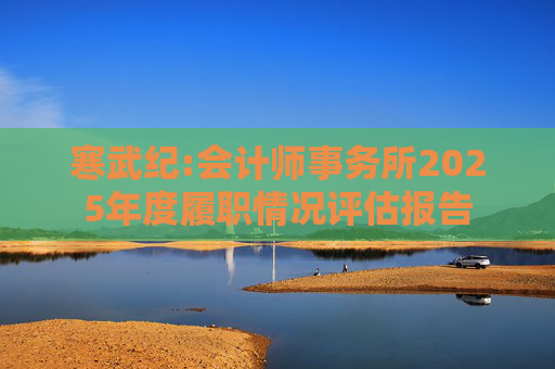 寒武纪:会计师事务所2025年度履职情况评估报告