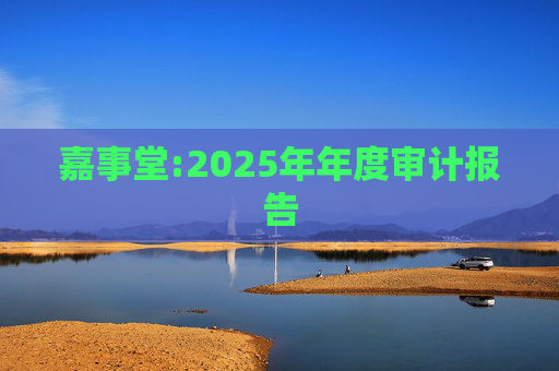 嘉事堂:2025年年度审计报告