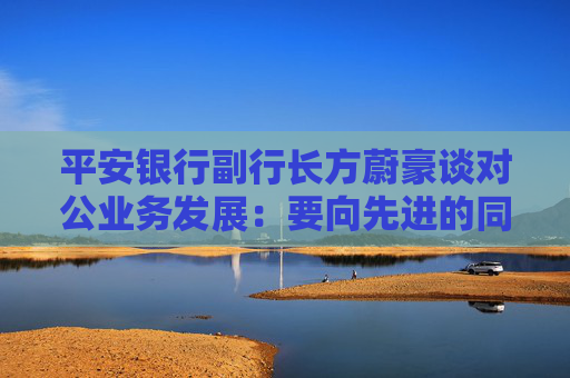 平安银行副行长方蔚豪谈对公业务发展：要向先进的同行多去学习，同时要大快步赶上
