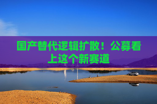 国产替代逻辑扩散！公募看上这个新赛道