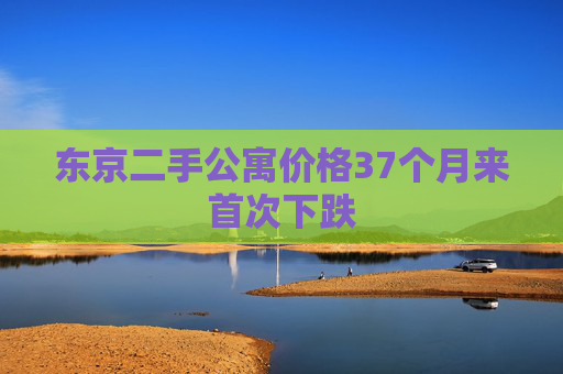 东京二手公寓价格37个月来首次下跌