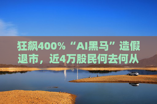 狂飙400%“AI黑马”造假退市，近4万股民何去何从？