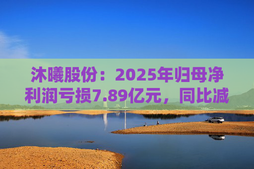 沐曦股份：2025年归母净利润亏损7.89亿元，同比减亏  第1张