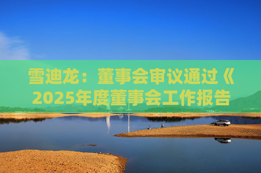雪迪龙：董事会审议通过《2025年度董事会工作报告》等多项议案