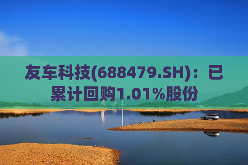 友车科技(688479.SH)：已累计回购1.01%股份