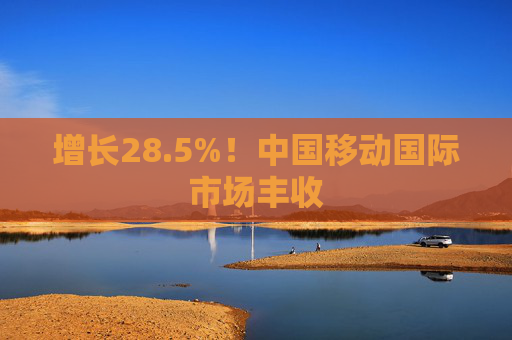 增长28.5%！中国移动国际市场丰收
