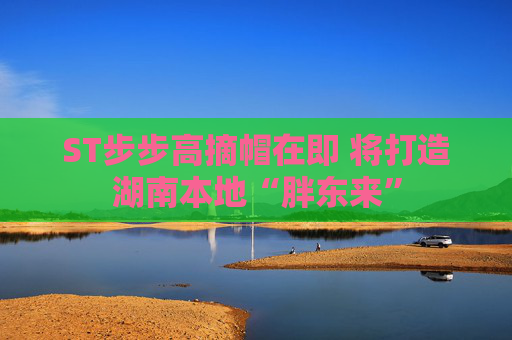 ST步步高摘帽在即 将打造湖南本地“胖东来”
