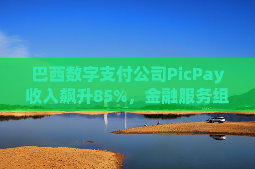 巴西数字支付公司PicPay收入飙升85%，金融服务组合持续扩大