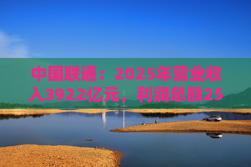 中国联通：2025年营业收入3922亿元，利润总额253亿元